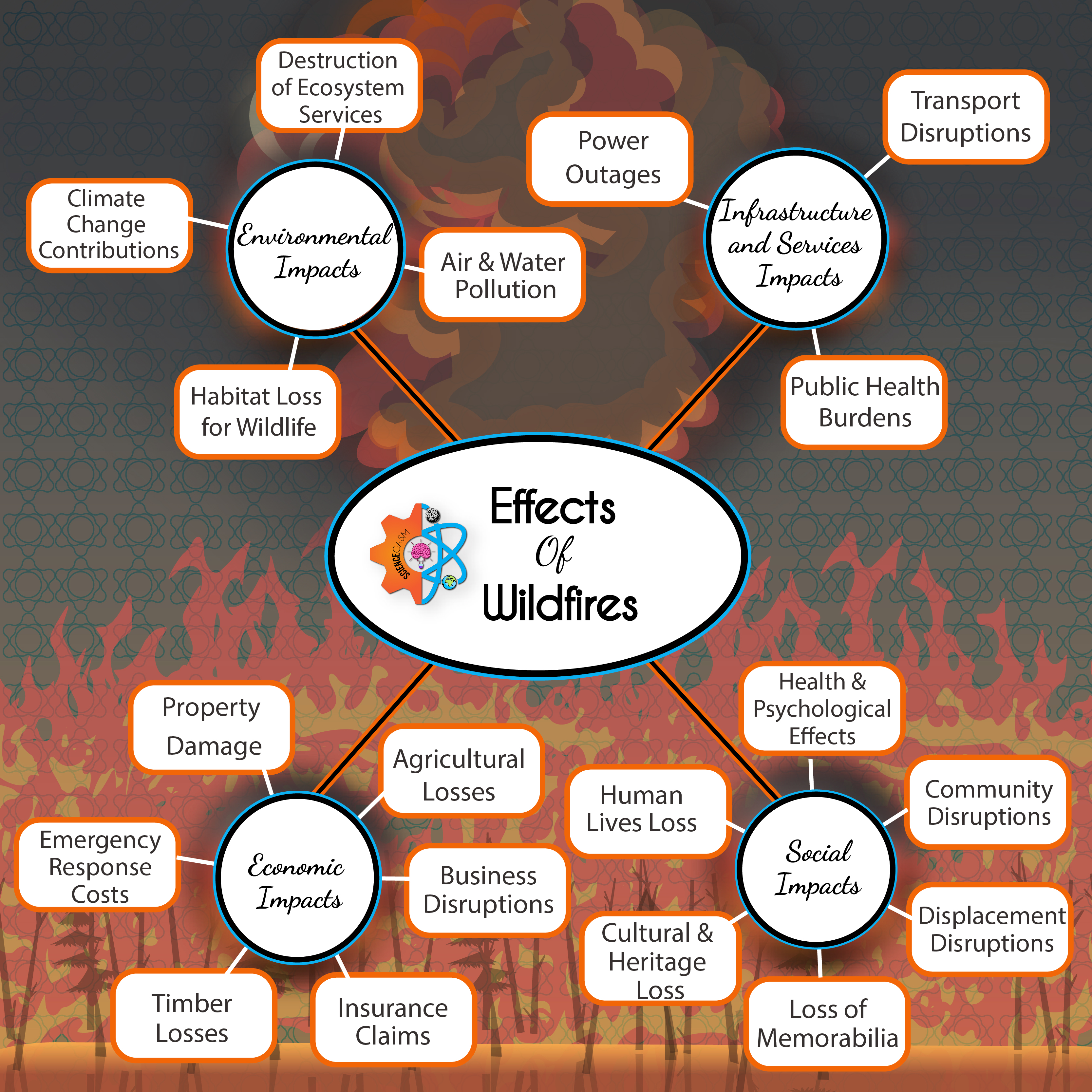 Effects of Wildfires