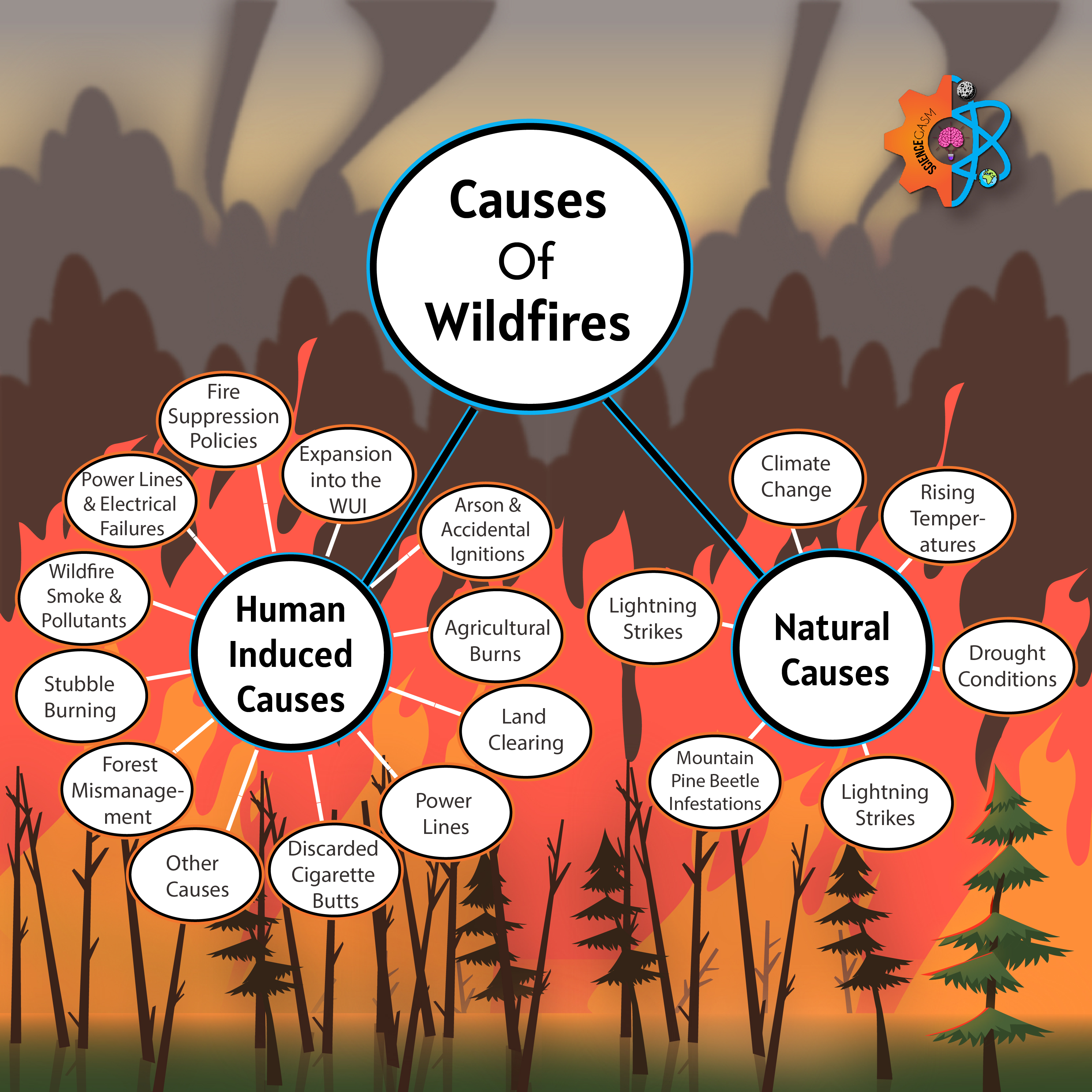 Causes of wildfires