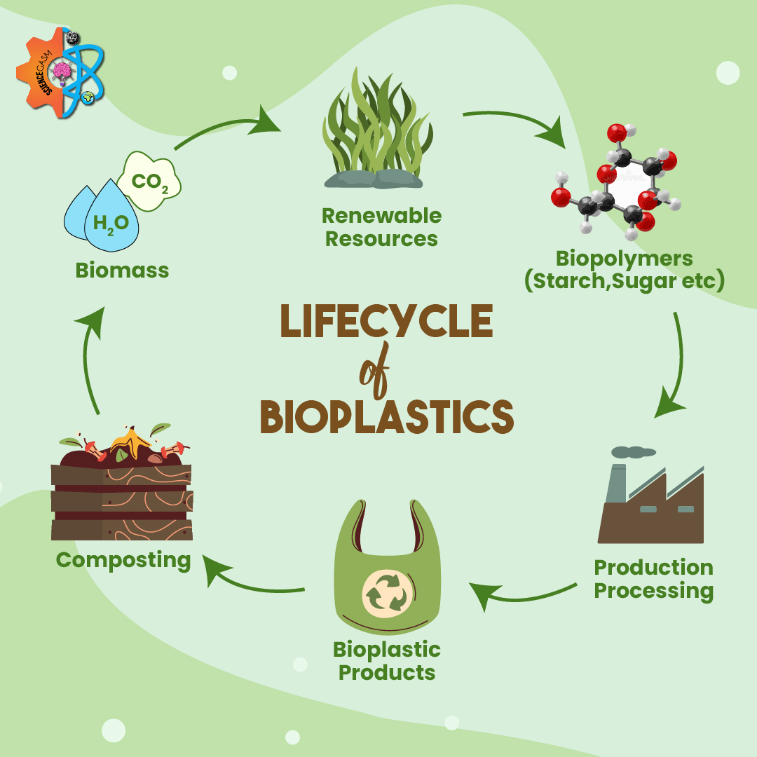Infographic showing lifecycle of bioplastics from renewable resources to biopolymers, production, products, composting, and biomass recycling.