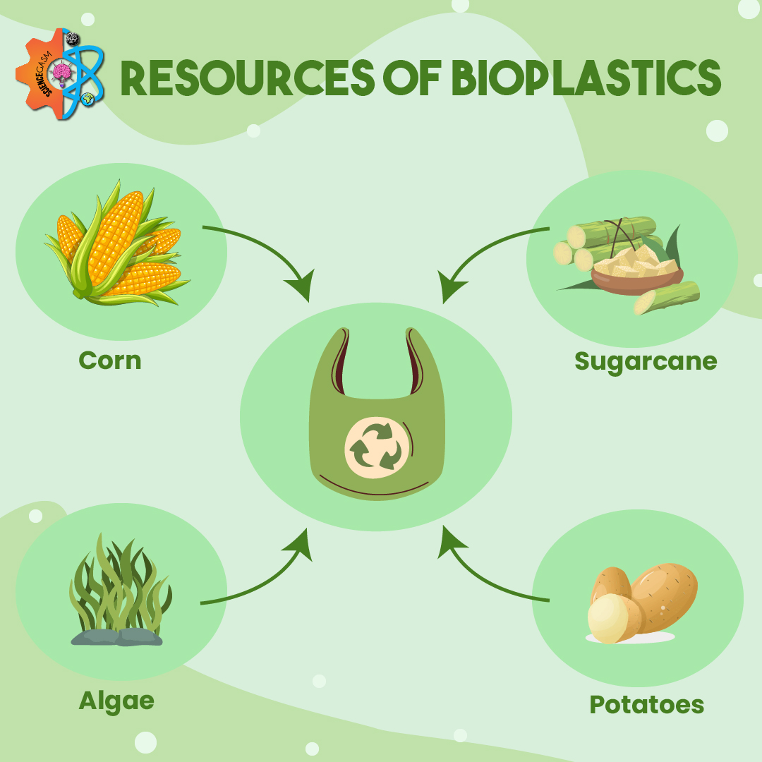 Resources of bioplastics infographic showing corn, sugarcane, potatoes, and algae as renewable sources for eco-friendly and sustainable plastics.