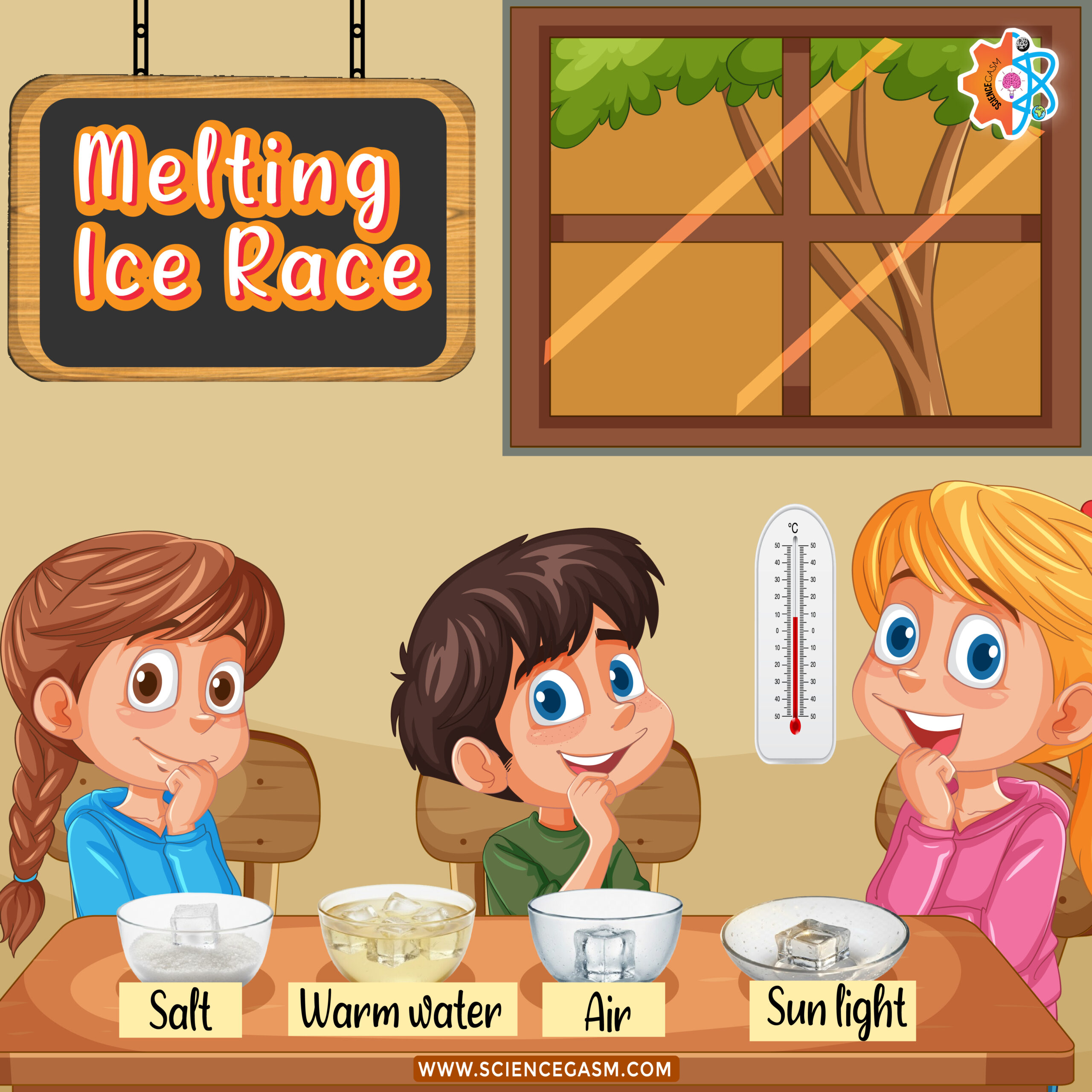 Melting ice race experiment comparing salt warm water air and sunlight to see which melts ice faster.