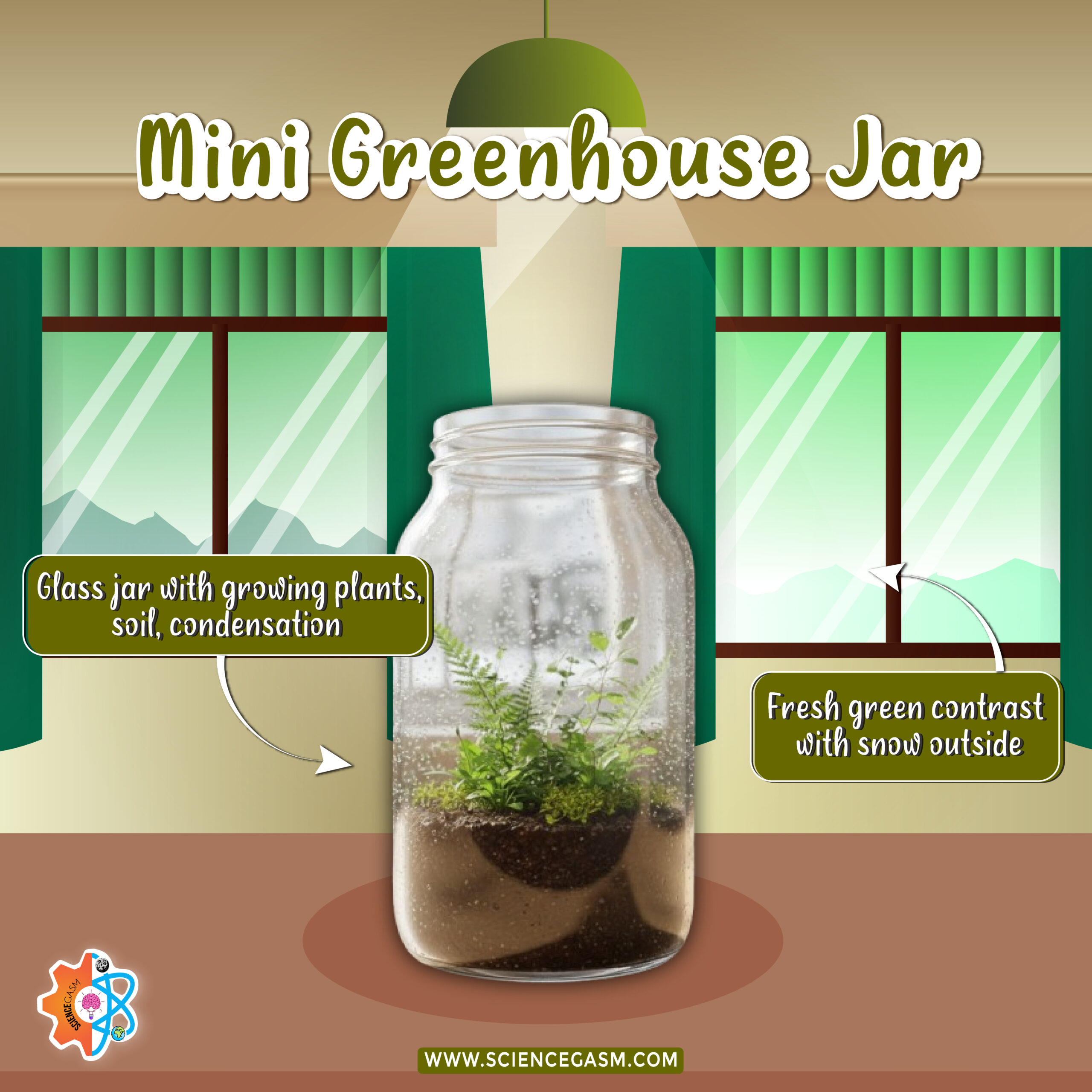 Mini greenhouse jar with soil and plants showing condensation and water cycle in a closed glass container science experiment.