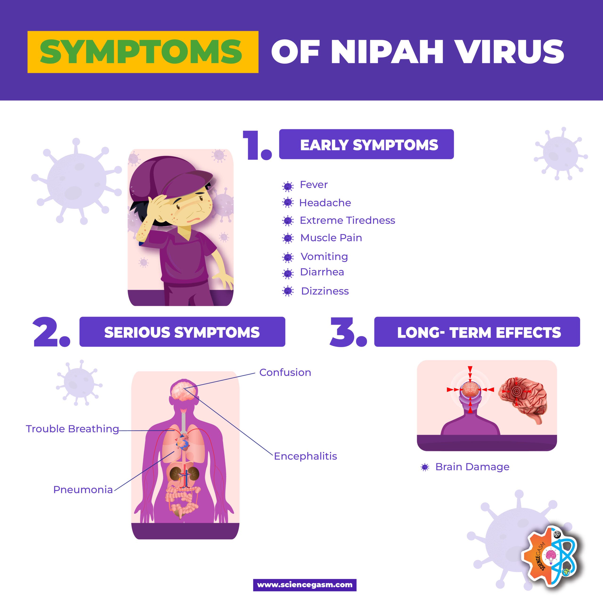 Infographic showing symptoms of Nipah virus including fever headache encephalitis pneumonia and brain damage