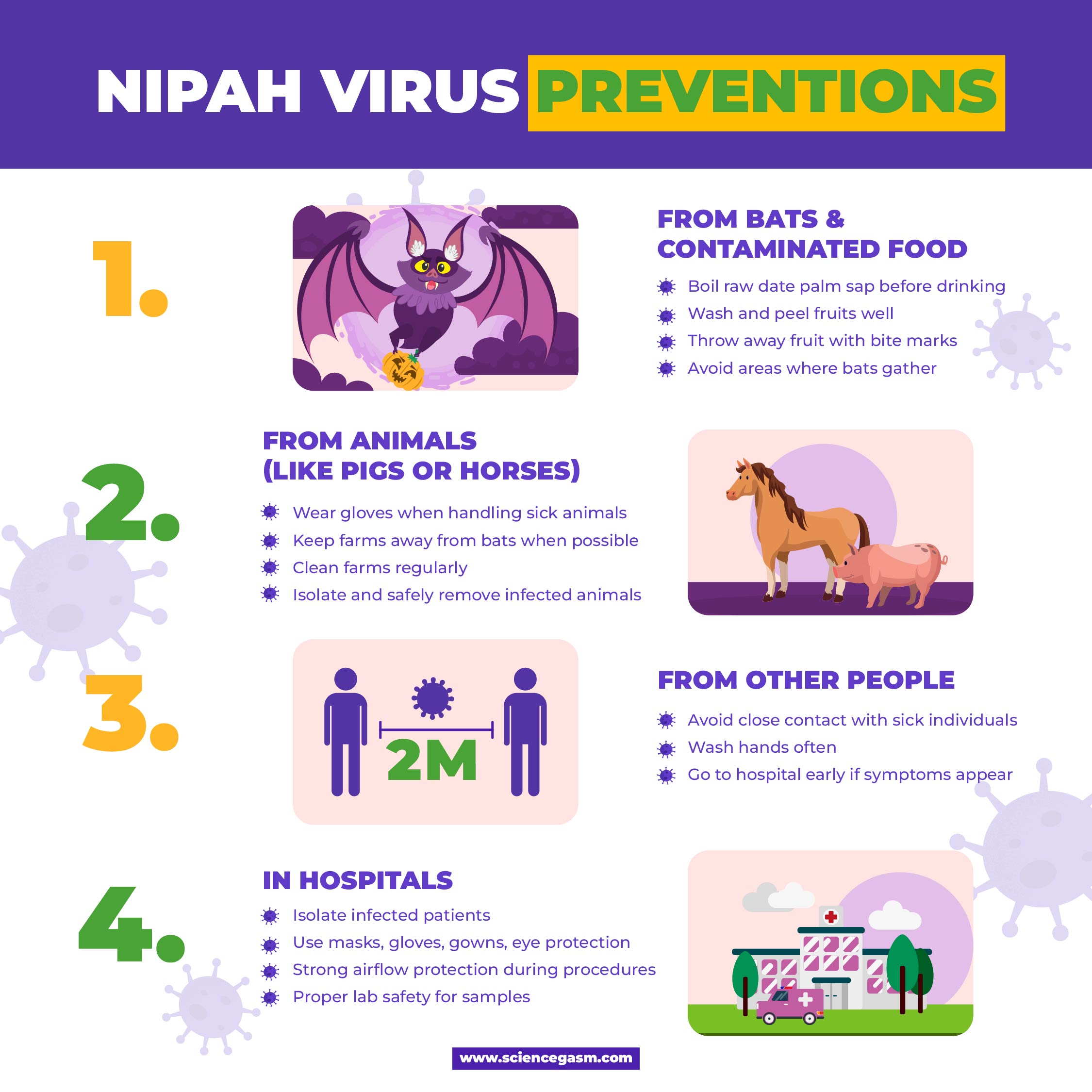 Infographic showing Nipah virus prevention including avoiding bats contaminated food washing hands and hospital safety measures
