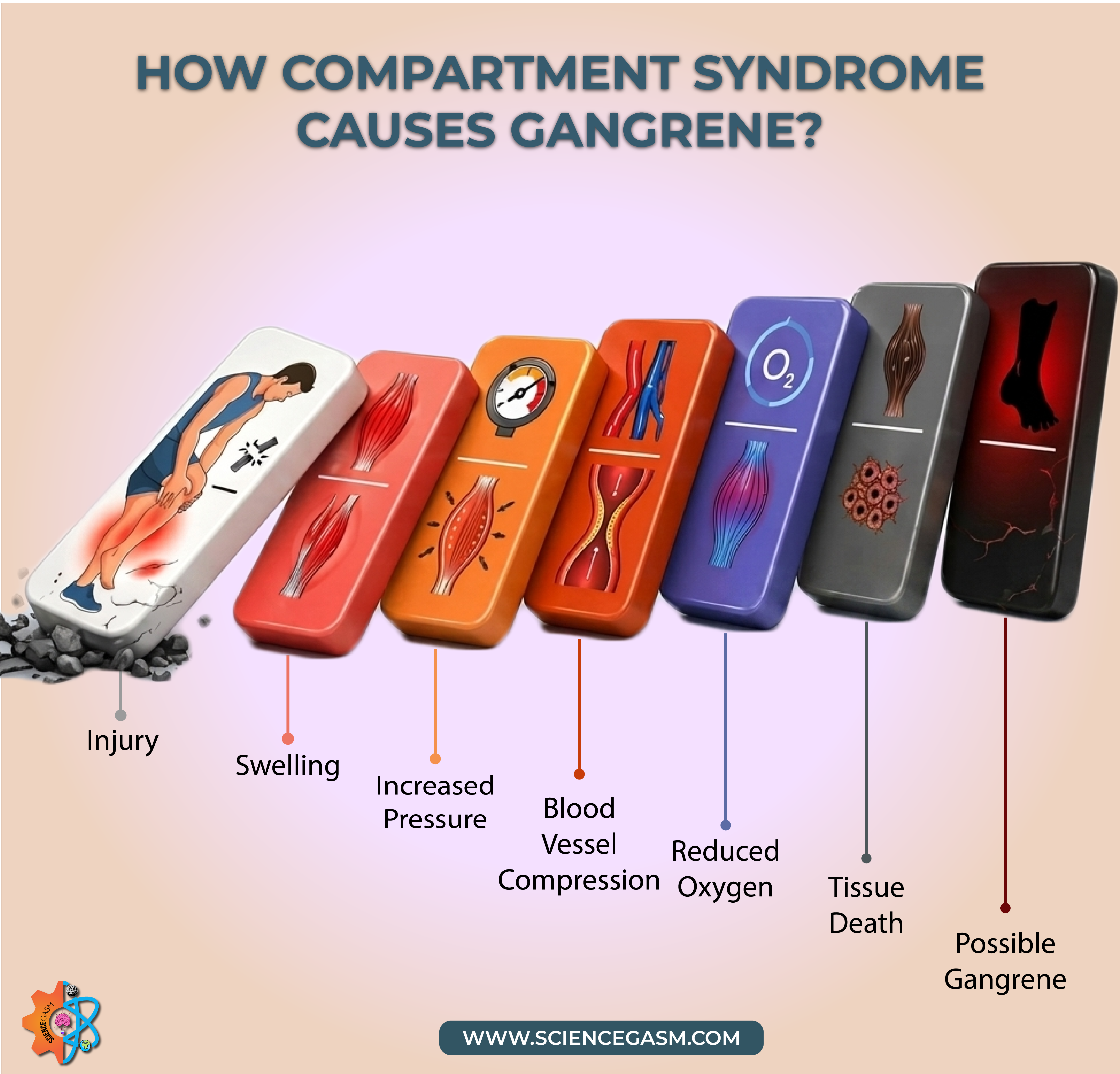 How compartment syndrome causes gangrene through swelling pressure reduced oxygen and tissue death