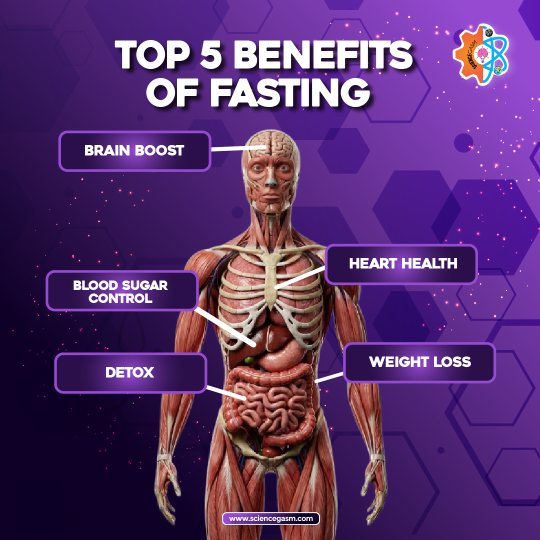 Infographic showing the top 5 benefits of fasting including brain boost, blood sugar control, detox support, heart health, and weight loss.
