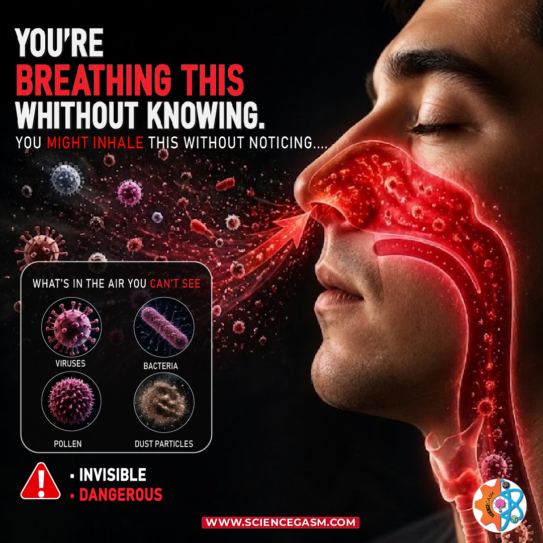 Medical infographic showing airborne particles entering lungs and explaining invisible hantavirus inhalation risks.