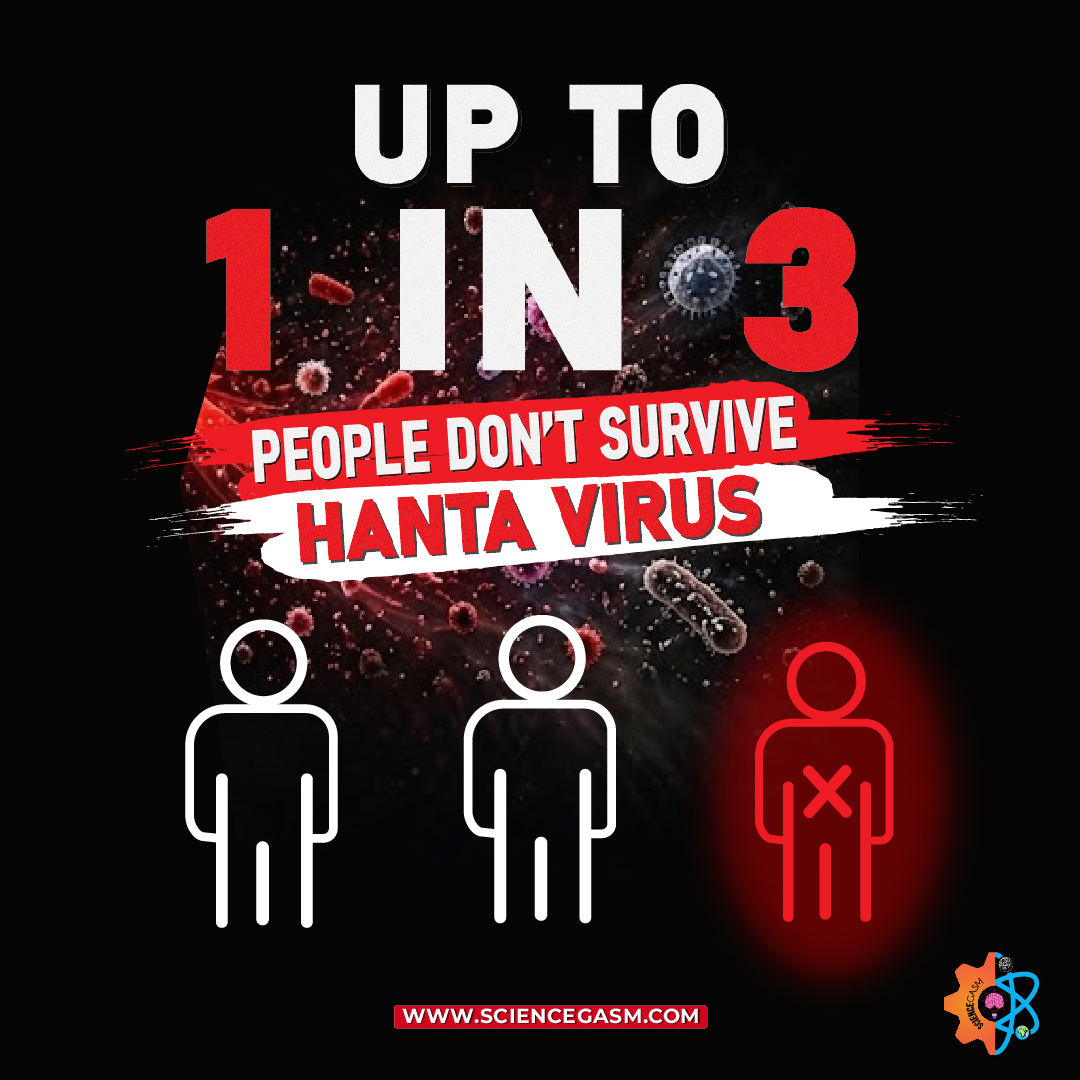 Infographic showing hantavirus mortality statistics with 1 in 3 fatality rate illustration and virus background.