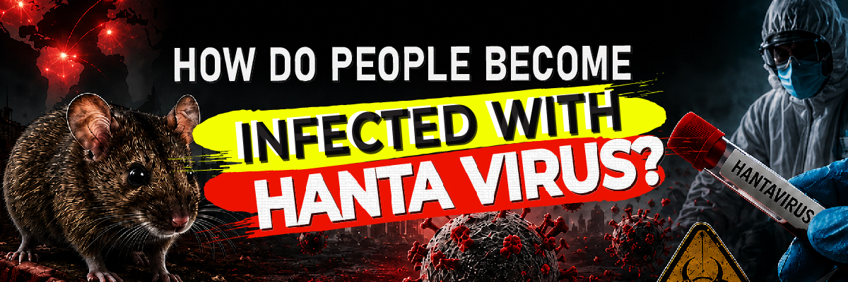 Hantavirus infographic showing a rodent carrier, virus particles, laboratory researcher, and warning symbols explaining how people become infected with hantavirus through exposure to infected rodent droppings, urine, and saliva.