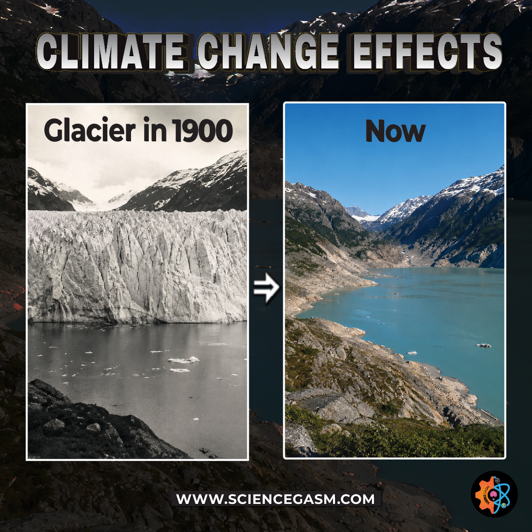 A side-by-side climate change comparison graphic showing a massive white glacier in the year 1900 contrasted with a present-day photograph showing a melted landscape of open blue water and bare mountains.
